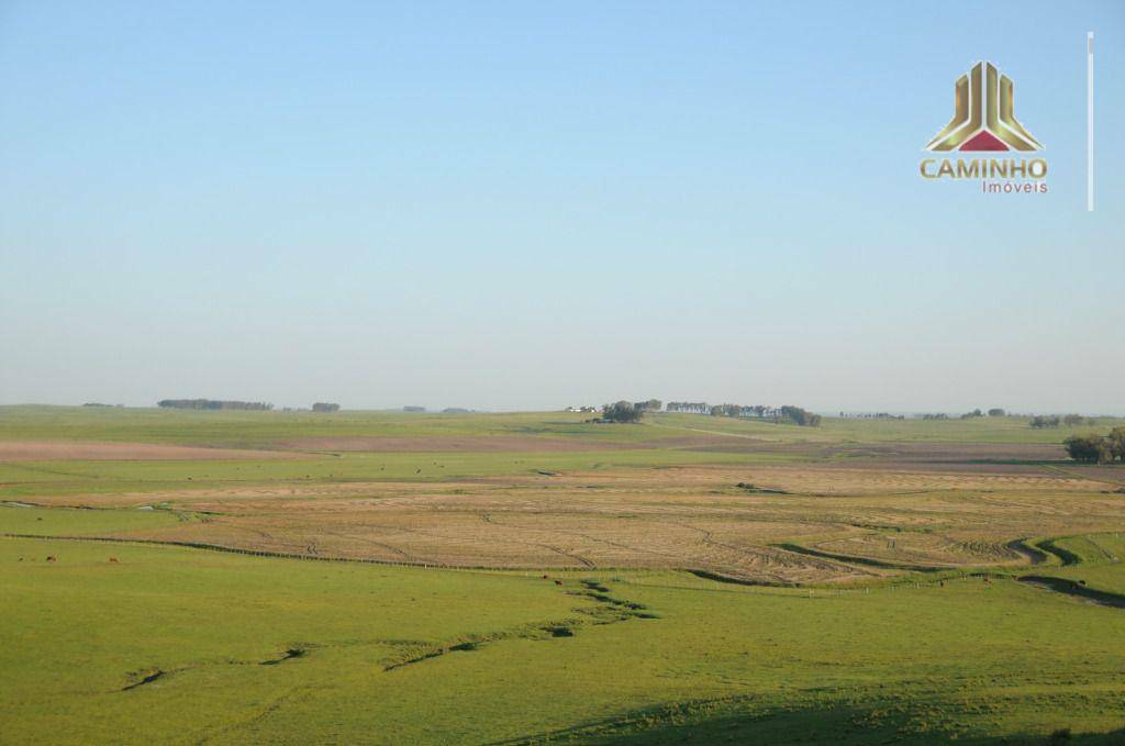 Fazenda à venda com 5 quartos, 33455000M2 - Foto 35