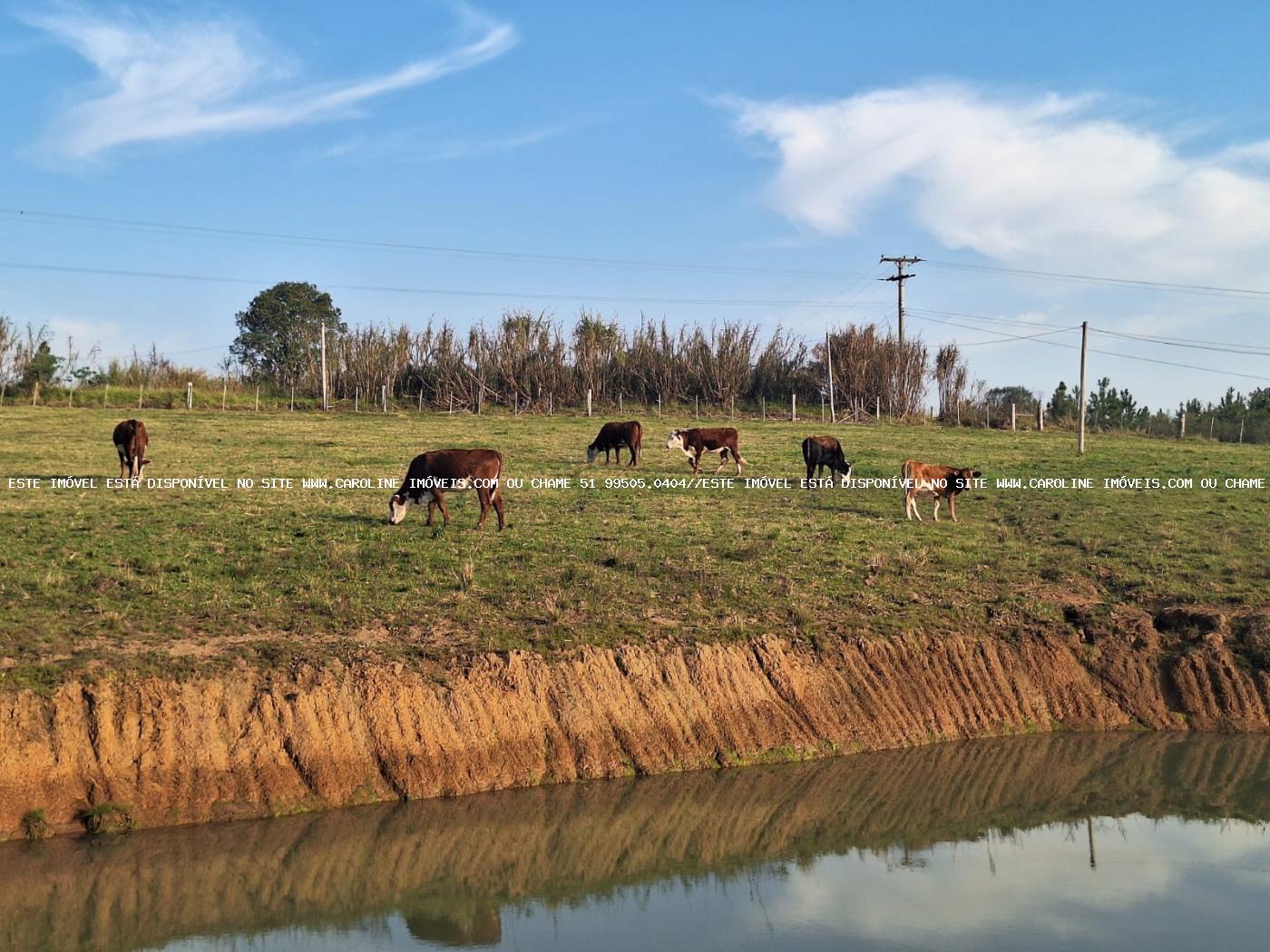 Sítio à venda, 80000m² - Foto 41