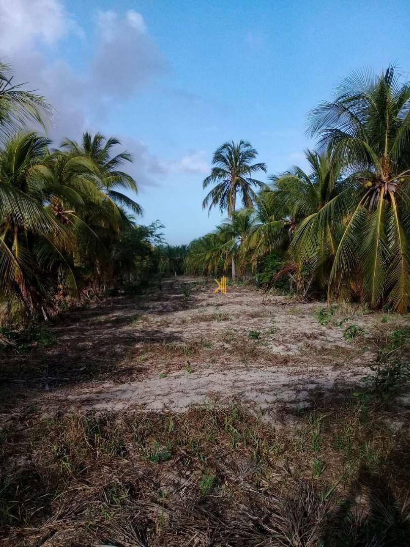 Terreno à venda, 160000M2 - Foto 5