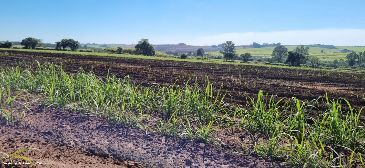 Fazenda à venda, 10m² - Foto 5