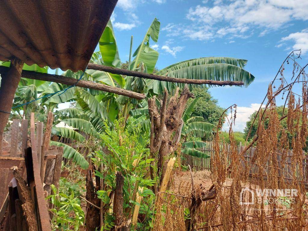 Terreno à venda, 1200M2 - Foto 3