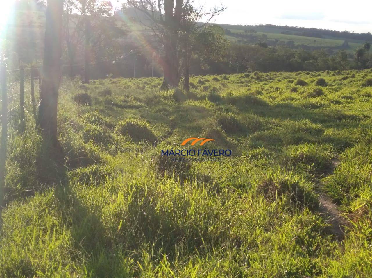 Fazenda, 121 hectares - Foto 7