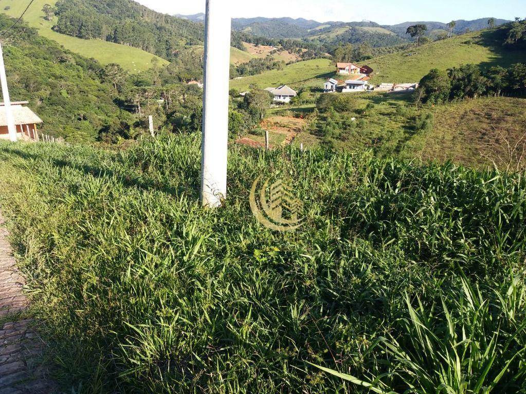 Terreno à venda, 2550M2 - Foto 2