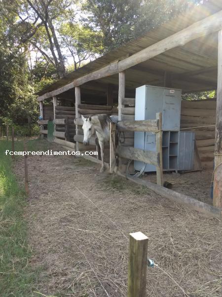 Fazenda à venda com 3 quartos, 10000m² - Foto 5