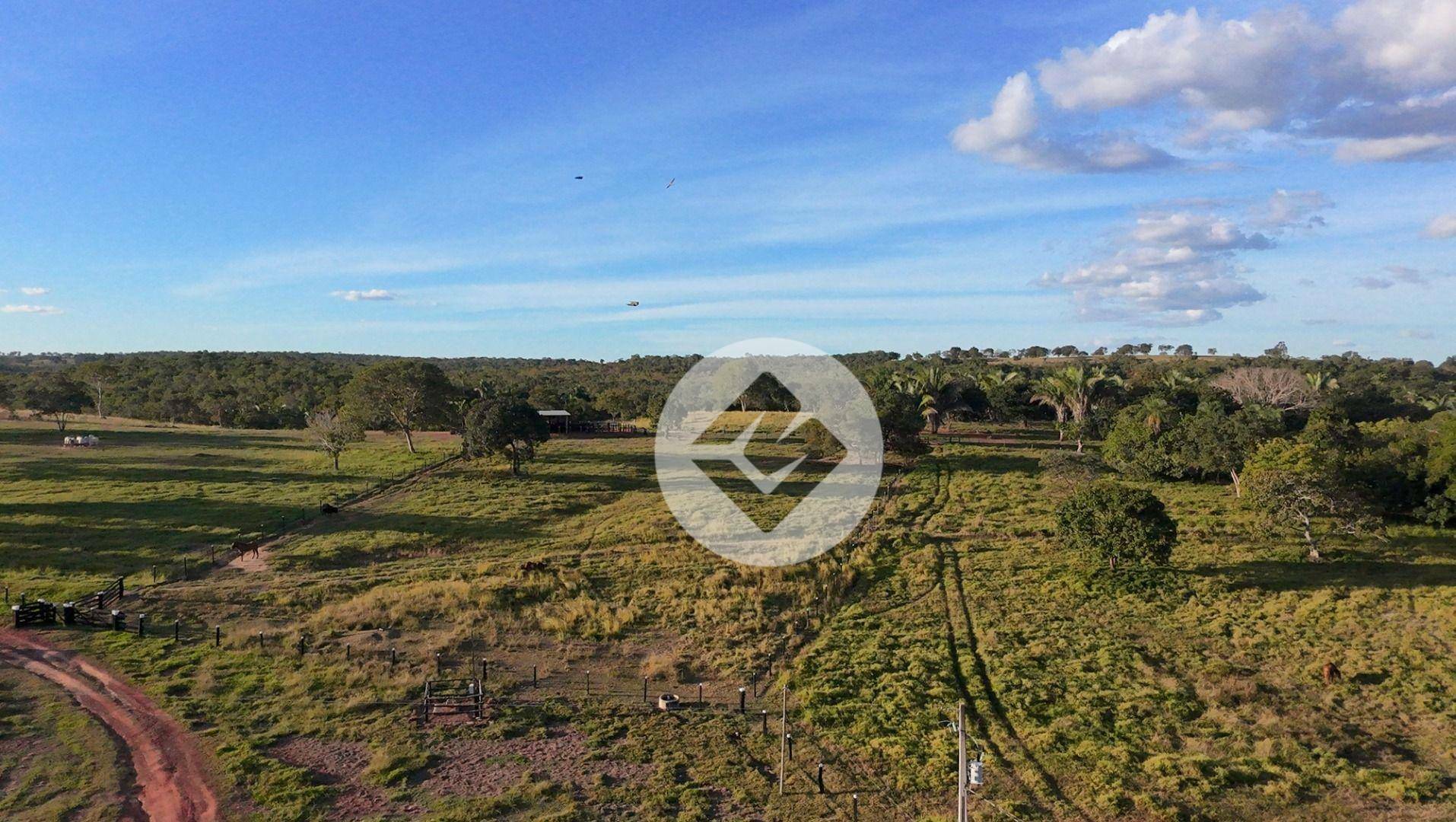 Fazenda à venda, 2500000M2 - Foto 12