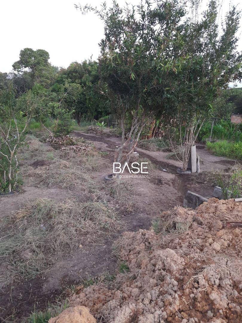 Sítio, 1500 m² - Foto 6