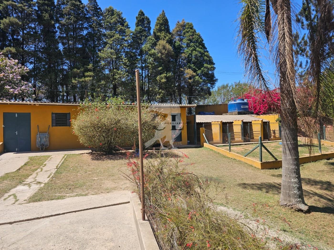 Sítio, 3 quartos, 6 hectares - Foto 4