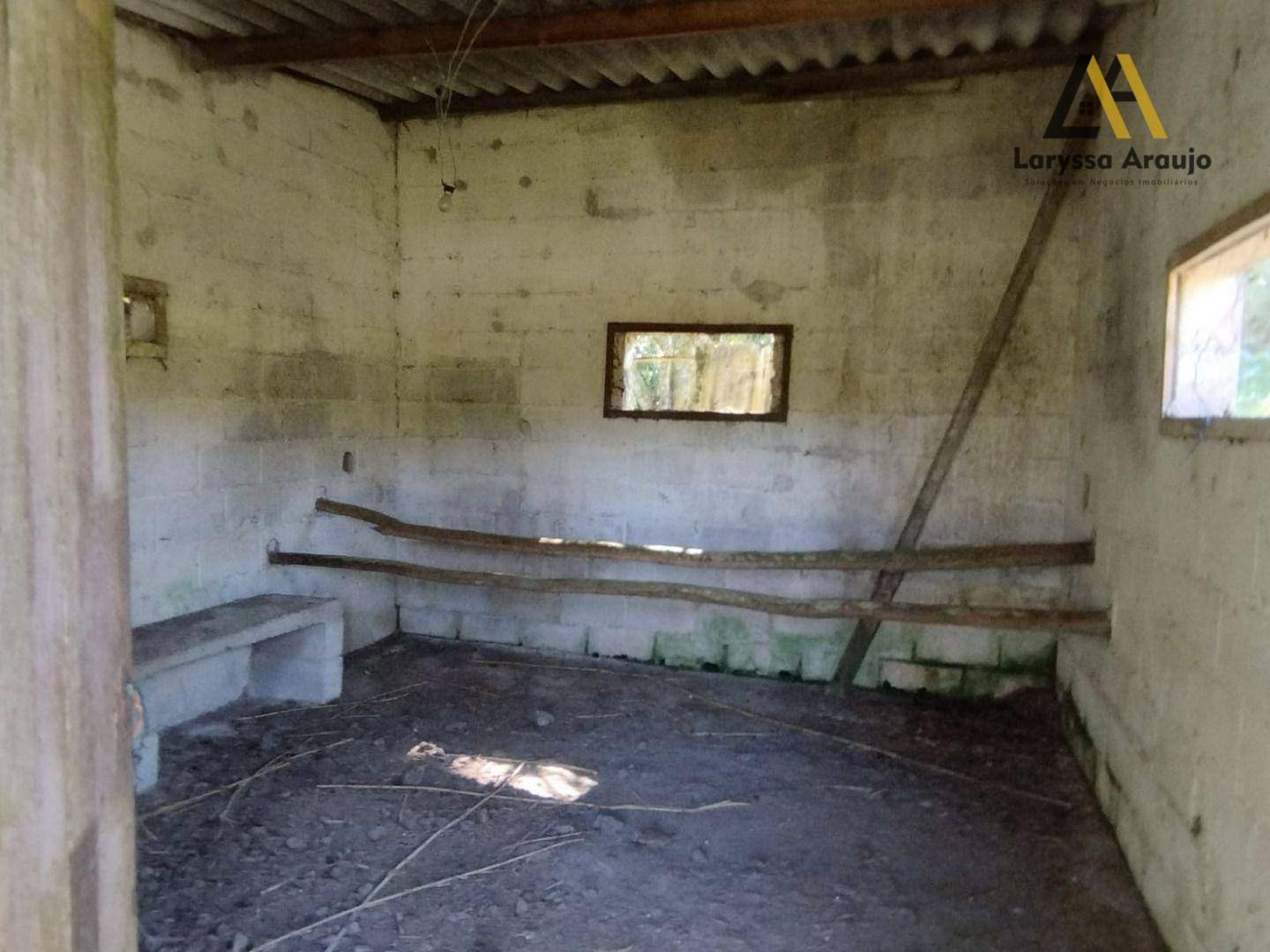 Sítio à venda com 4 quartos, 31000M2 - Foto 40