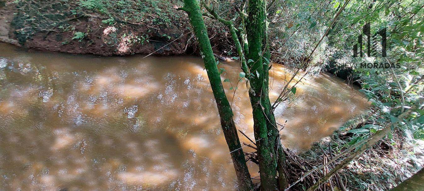 Chácara, 3 hectares - Foto 10