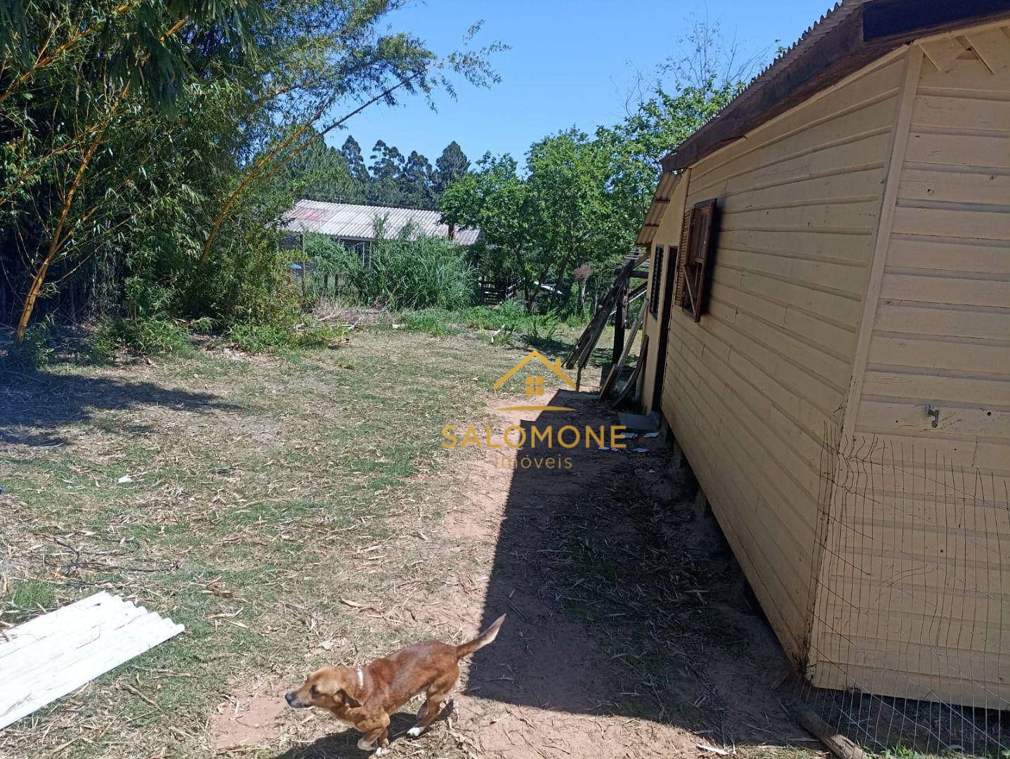 Sítio, 2 quartos, 500 m² - Foto 4