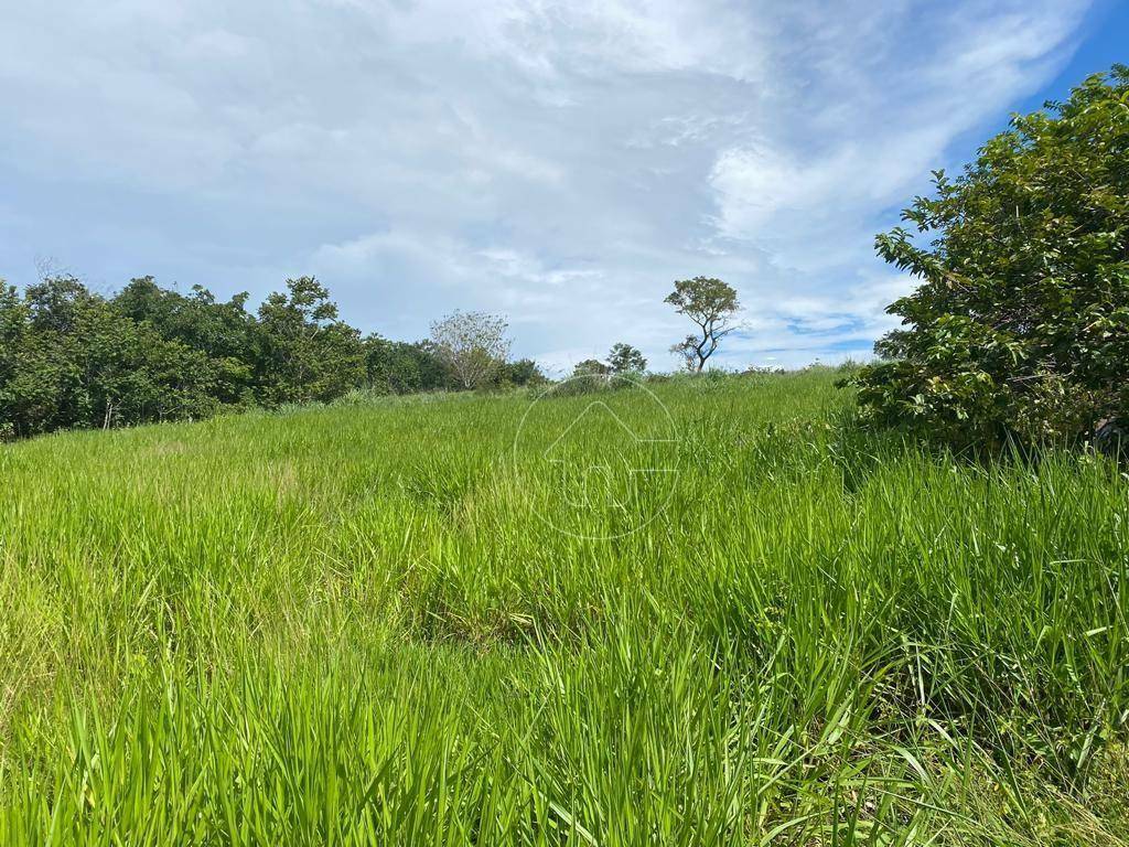 Fazenda à venda, 4840000M2 - Foto 15