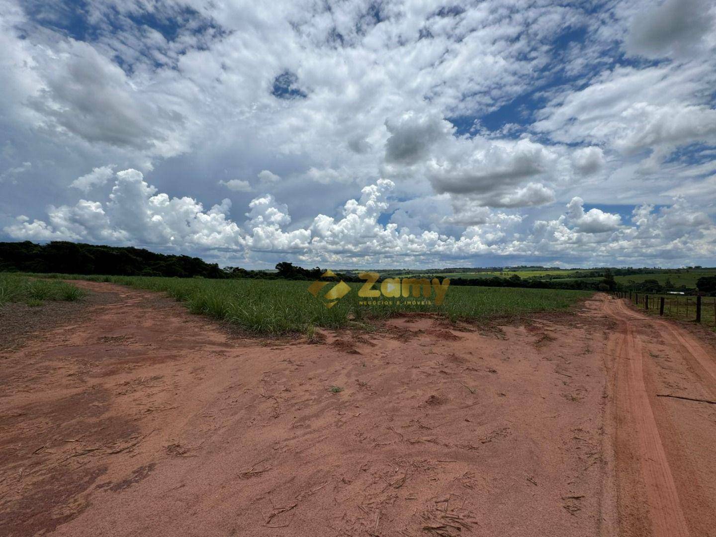 Sítio, 36 hectares - Foto 5