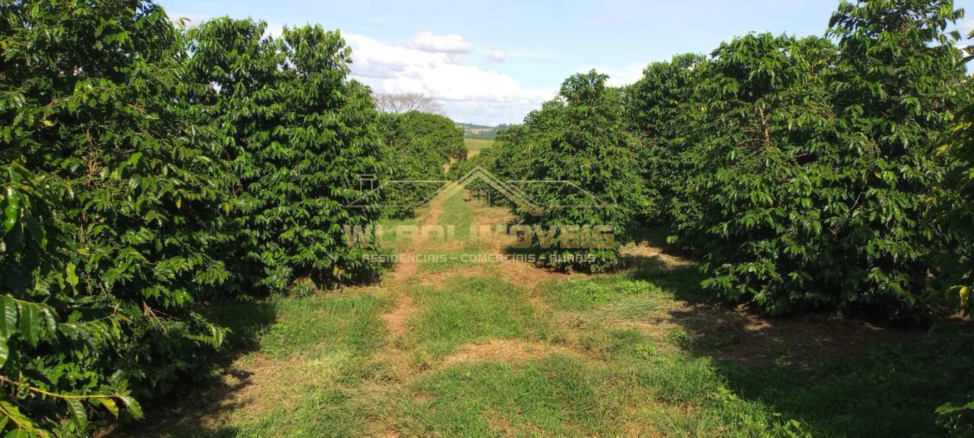 Fazenda à venda, 27m² - Foto 2