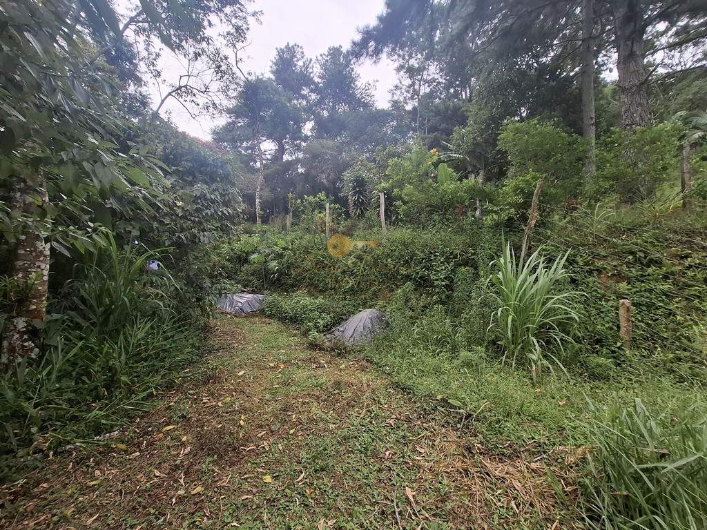 Terreno à venda, 216036m² - Foto 26