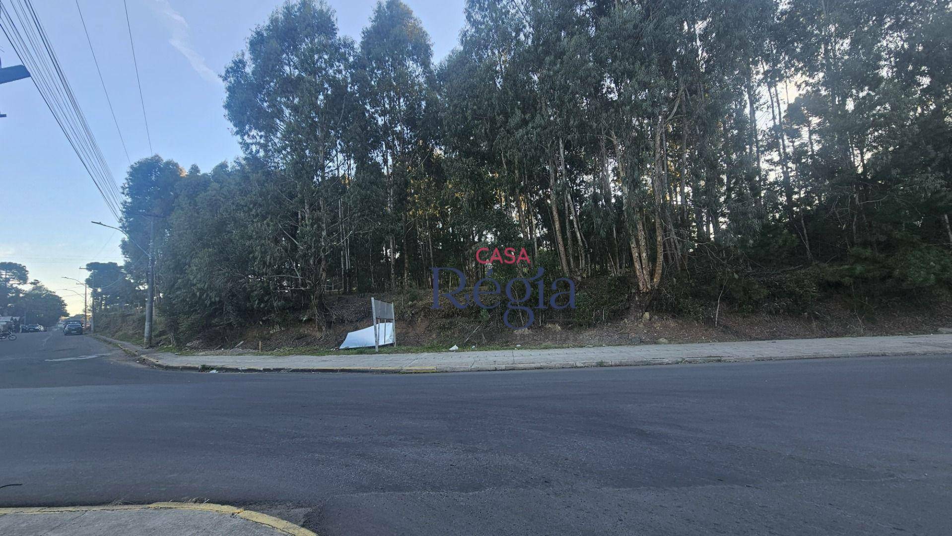Loteamento e Condomínio à venda, 354M2 - Foto 9