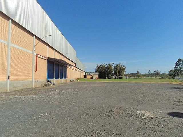 Depósito-Galpão-Armazém para alugar, 12000m² - Foto 5