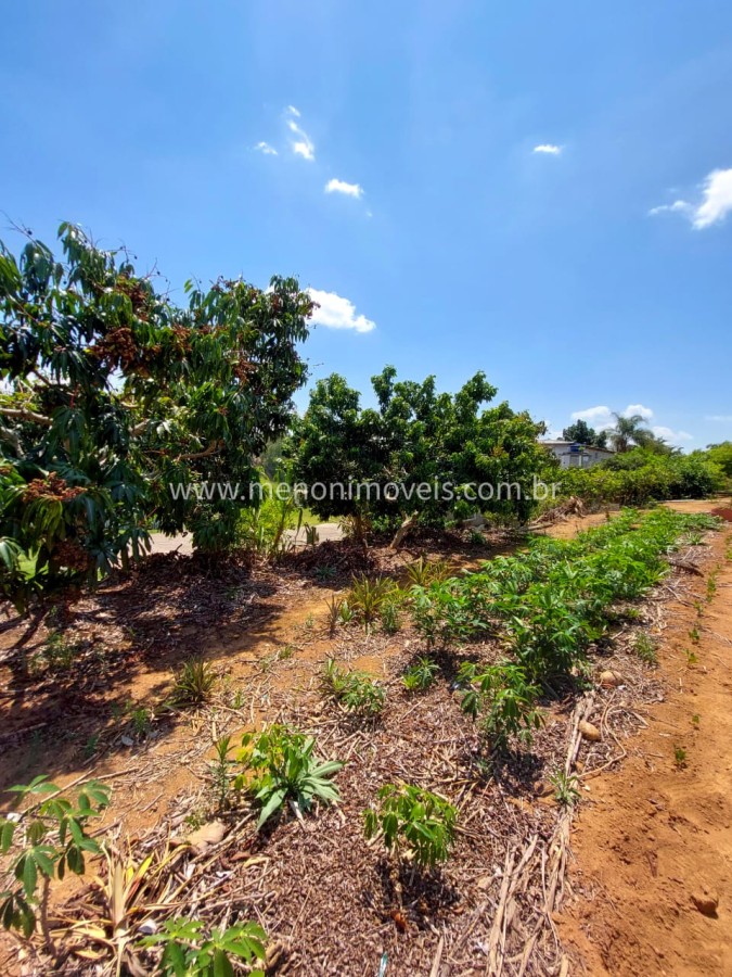 Chácara, 6500 m² - Foto 5