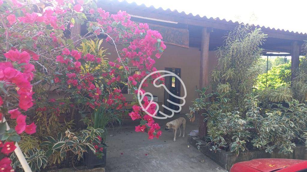 Terreno, 25 m² - Foto 7