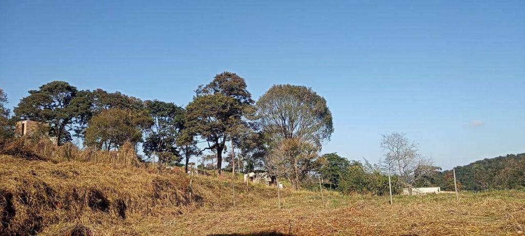 Loteamento e Condomínio à venda, 1000M2 - Foto 5