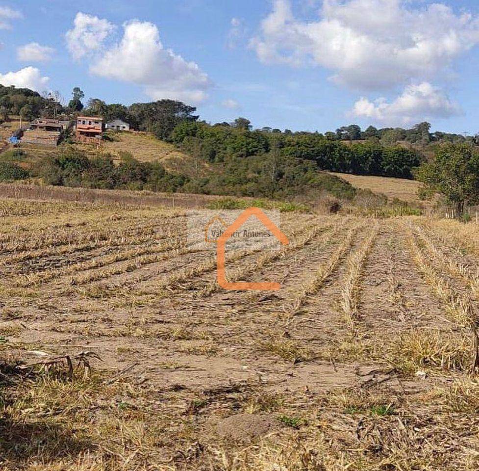 Terreno, 3 hectares - Foto 3