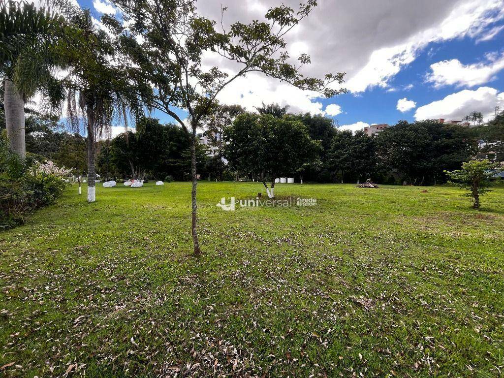 Loteamento e Condomínio à venda, 3323M2 - Foto 9