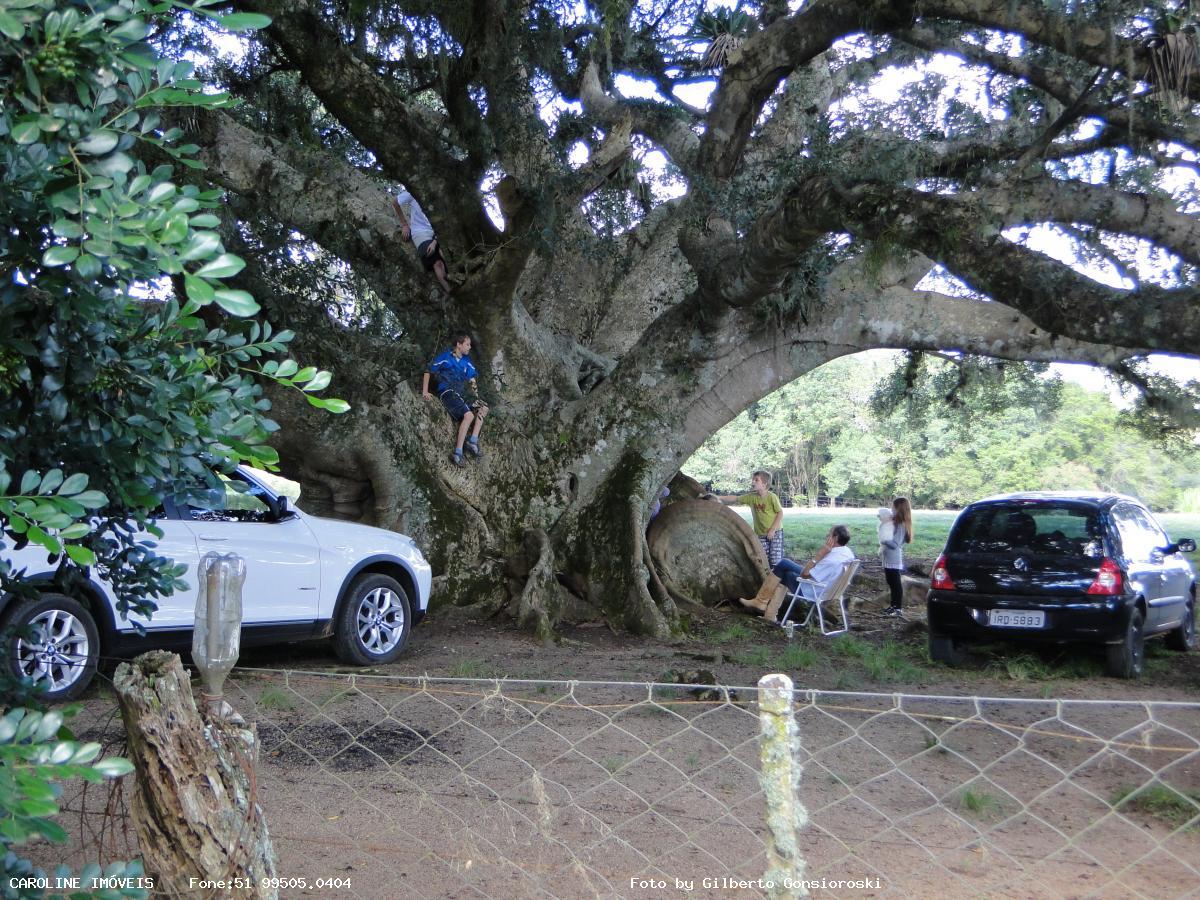 Fazenda à venda, 160000m² - Foto 2