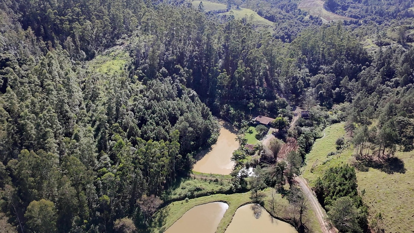 Sítio à venda com 3 quartos, 40000m² - Foto 27