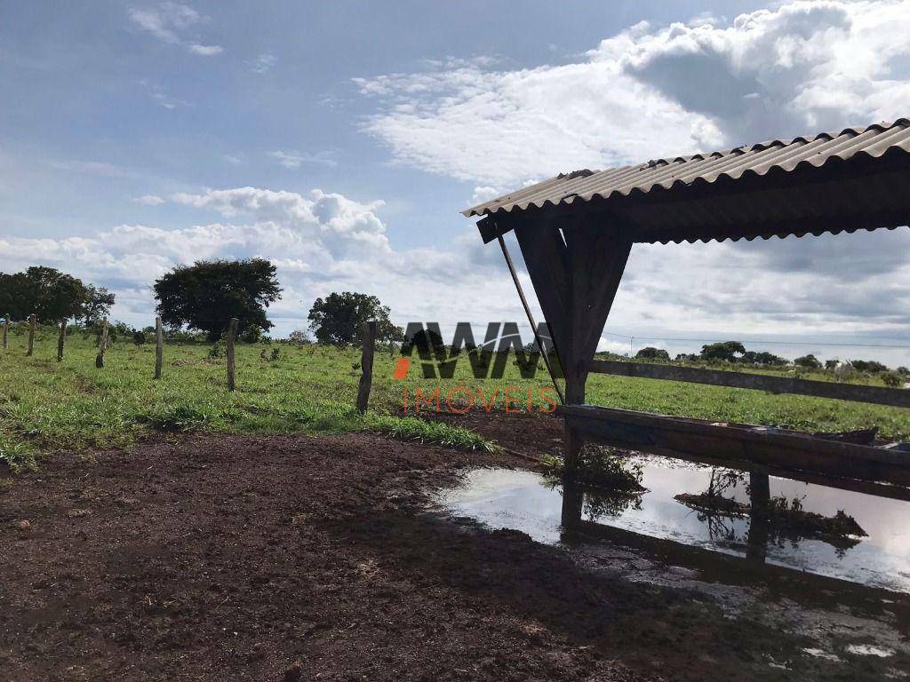 Fazenda à venda, 38136780M2 - Foto 6