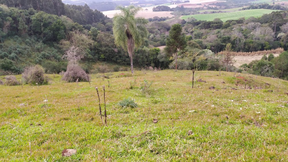 Fazenda à venda, 60m² - Foto 15