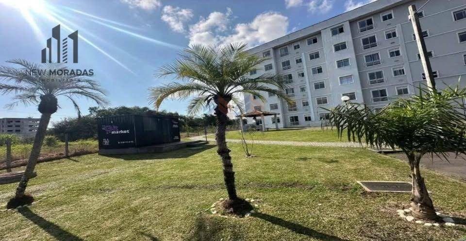 Apartamento à venda com 3 quartos, 57m² - Foto 17