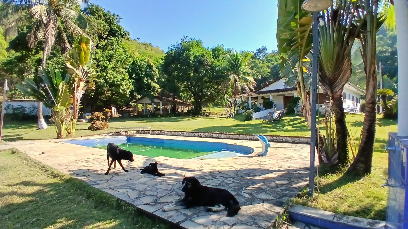 Fazenda à venda com 3 quartos, 100000m² - Foto 4