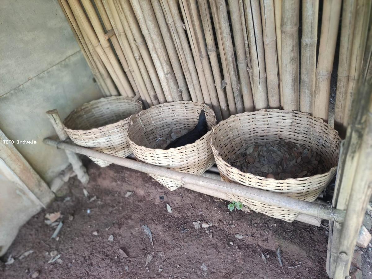 Chácara à venda com 3 quartos, 1000m² - Foto 29