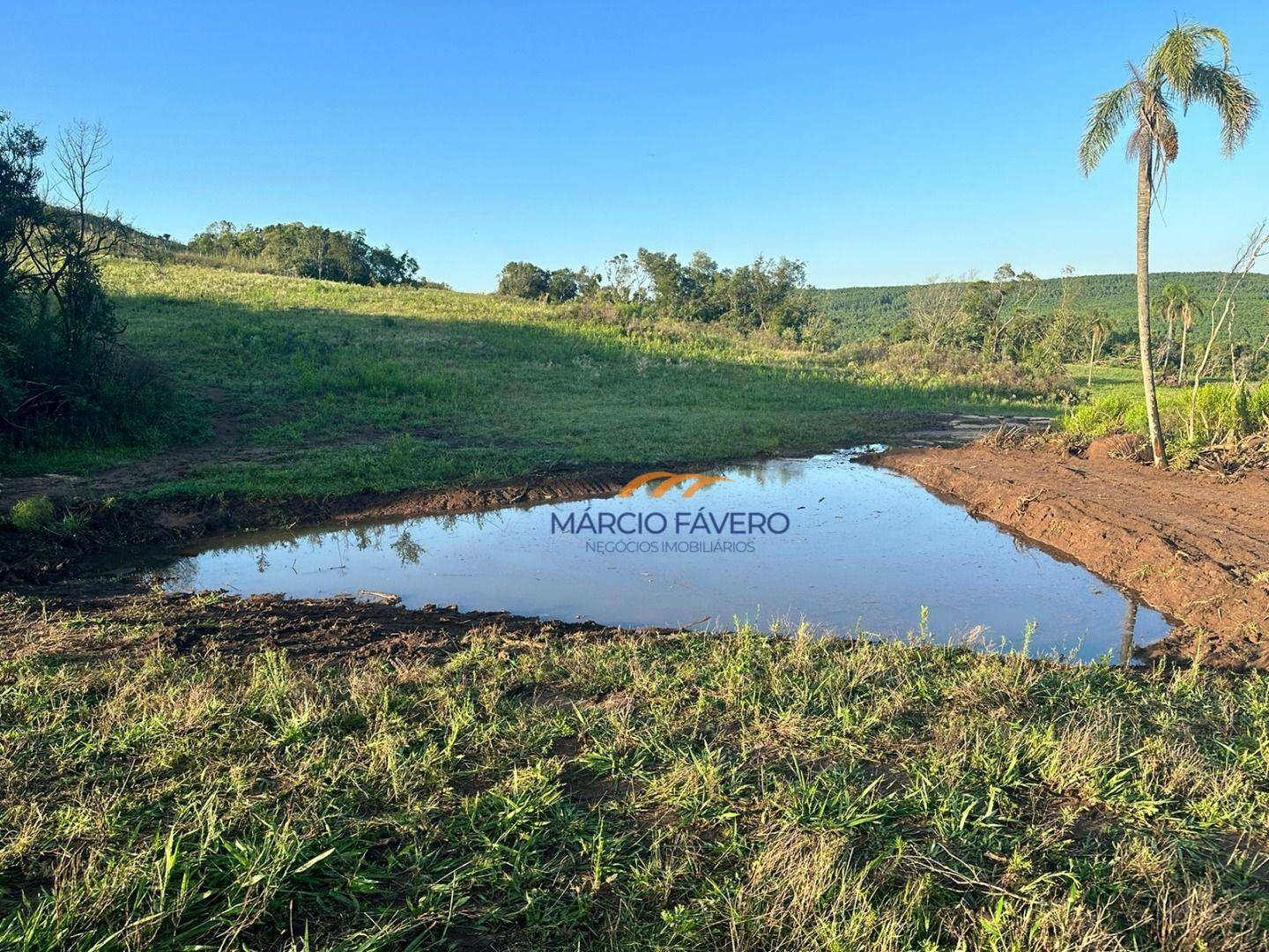 Fazenda à venda, 1065000M2 - Foto 27