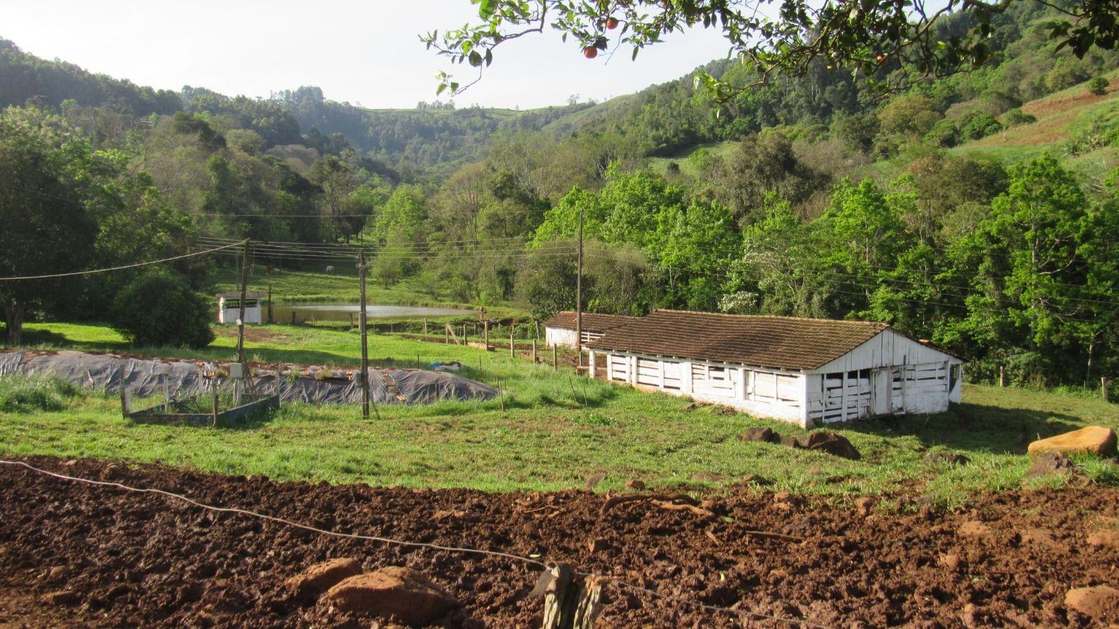 Casa à venda, 510000m² - Foto 41