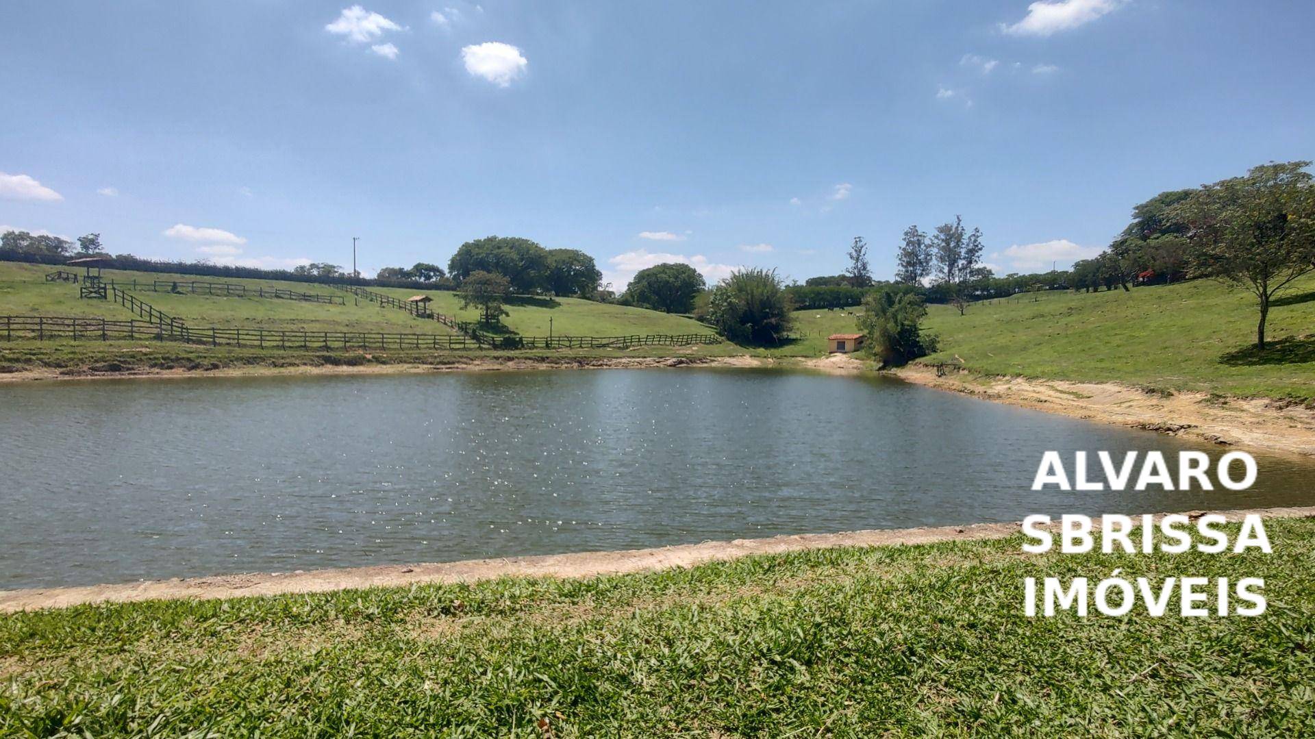 Sítio, 6 quartos, 11 hectares - Foto 3