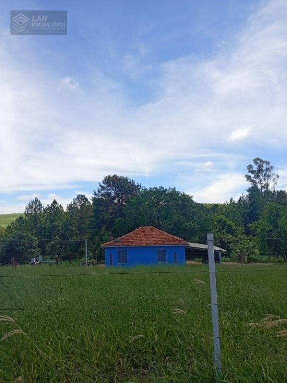 Terreno, 4 hectares - Foto 7