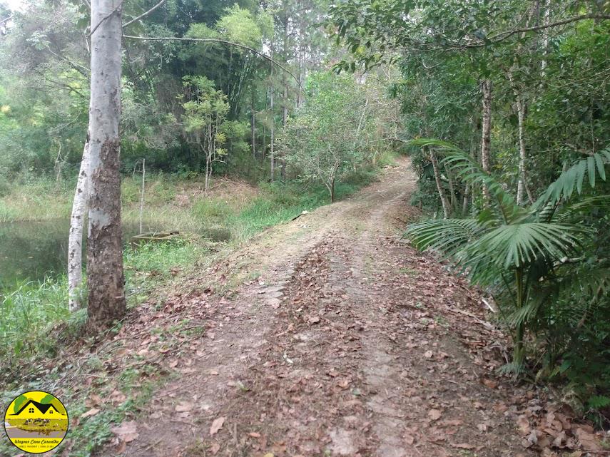 Fazenda à venda com 3 quartos, 30m² - Foto 7