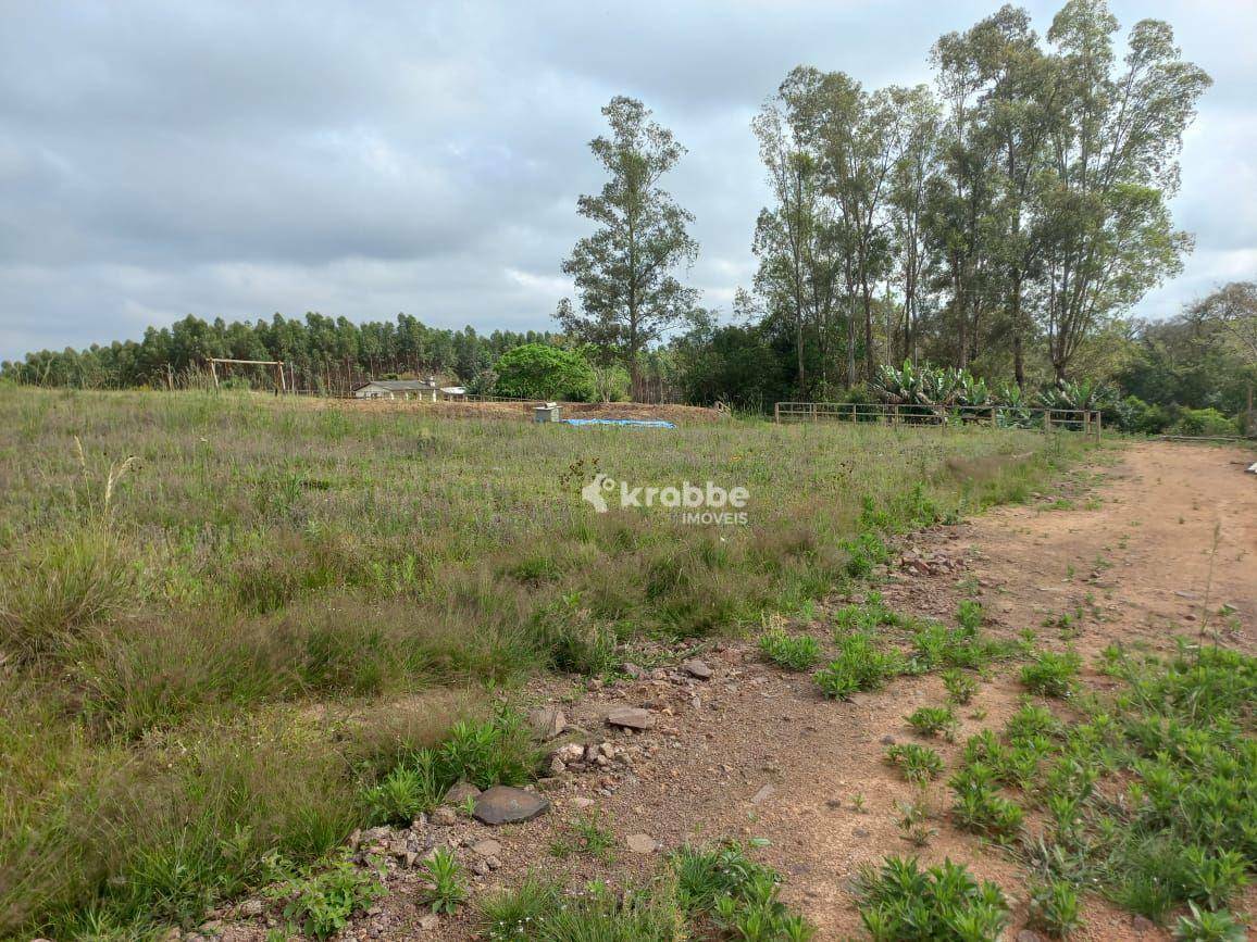 Chácara à venda com 1 quarto, 4000M2 - Foto 3