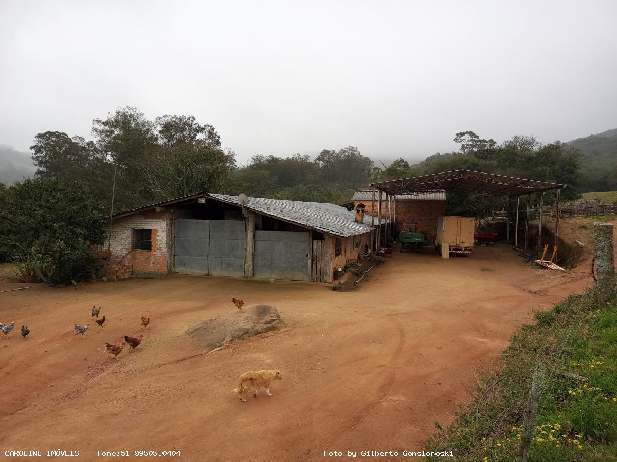 Fazenda à venda com 3 quartos, 586000m² - Foto 7