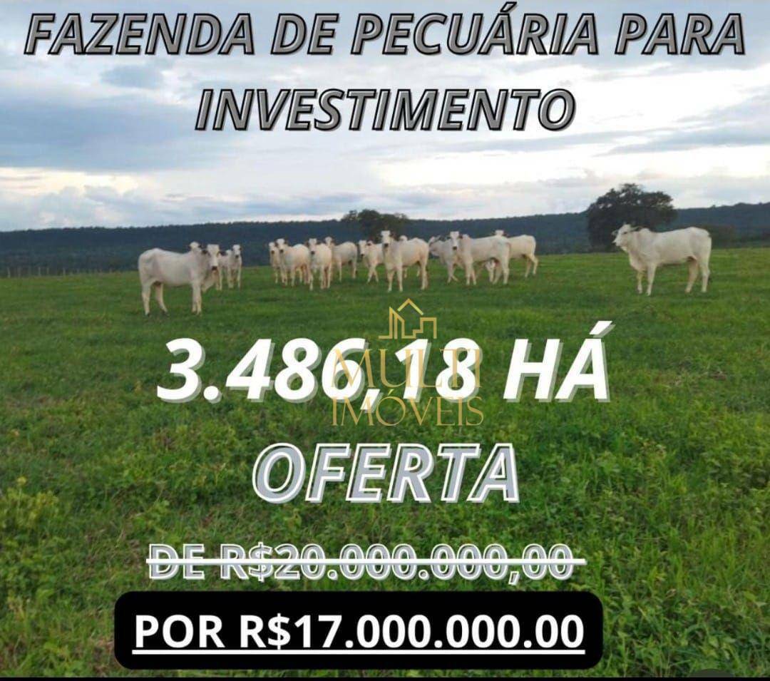 Fazenda à venda com 3 quartos, 34860000M2 - Foto 1