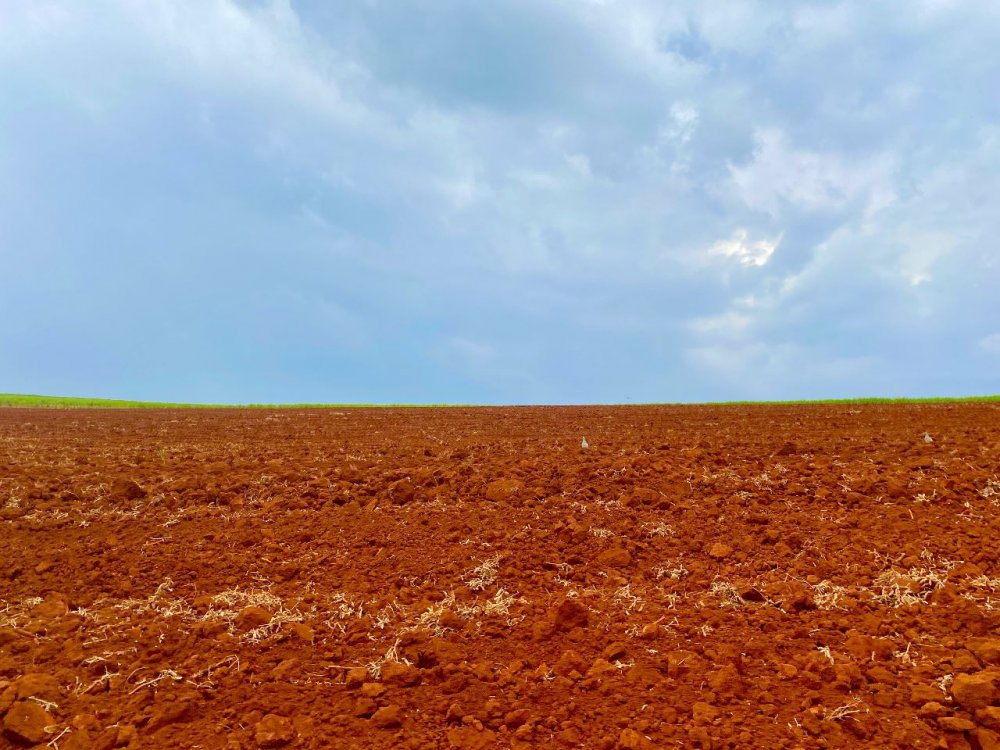 Fazenda à venda, 34m² - Foto 6