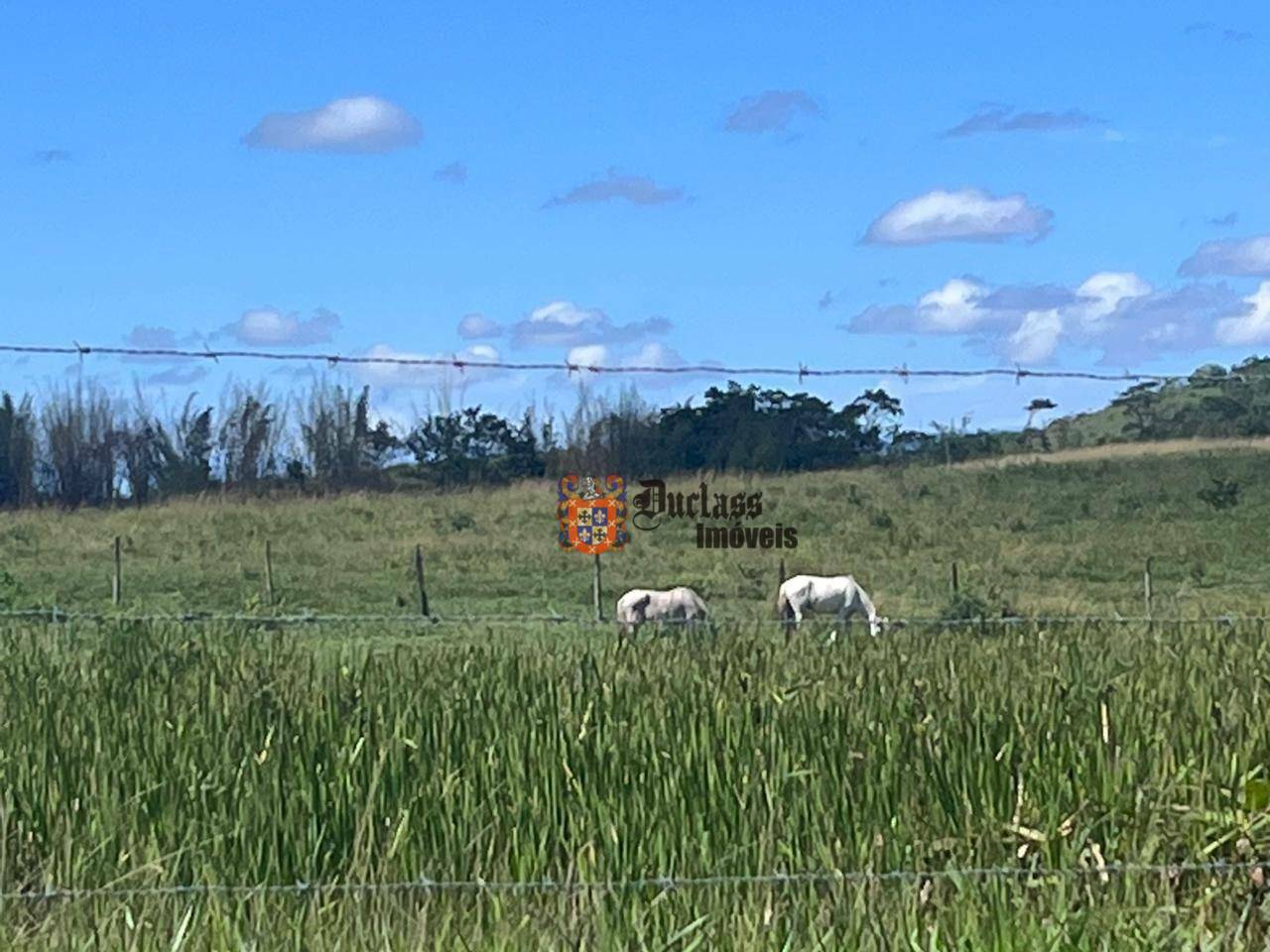 Fazenda à venda, 1258400M2 - Foto 25