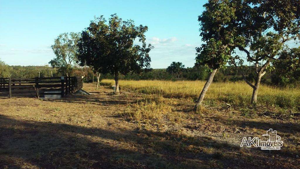 Fazenda à venda com 2 quartos, 4500000M2 - Foto 7