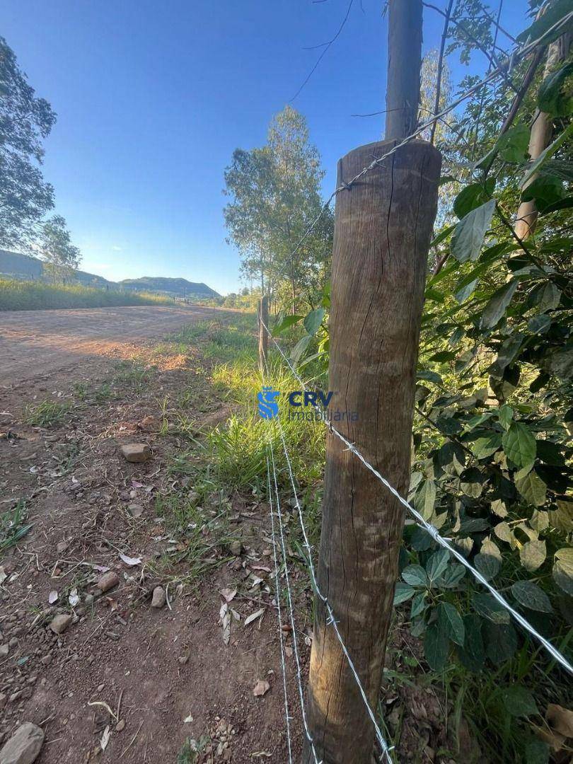 Sítio, 6 hectares - Foto 6