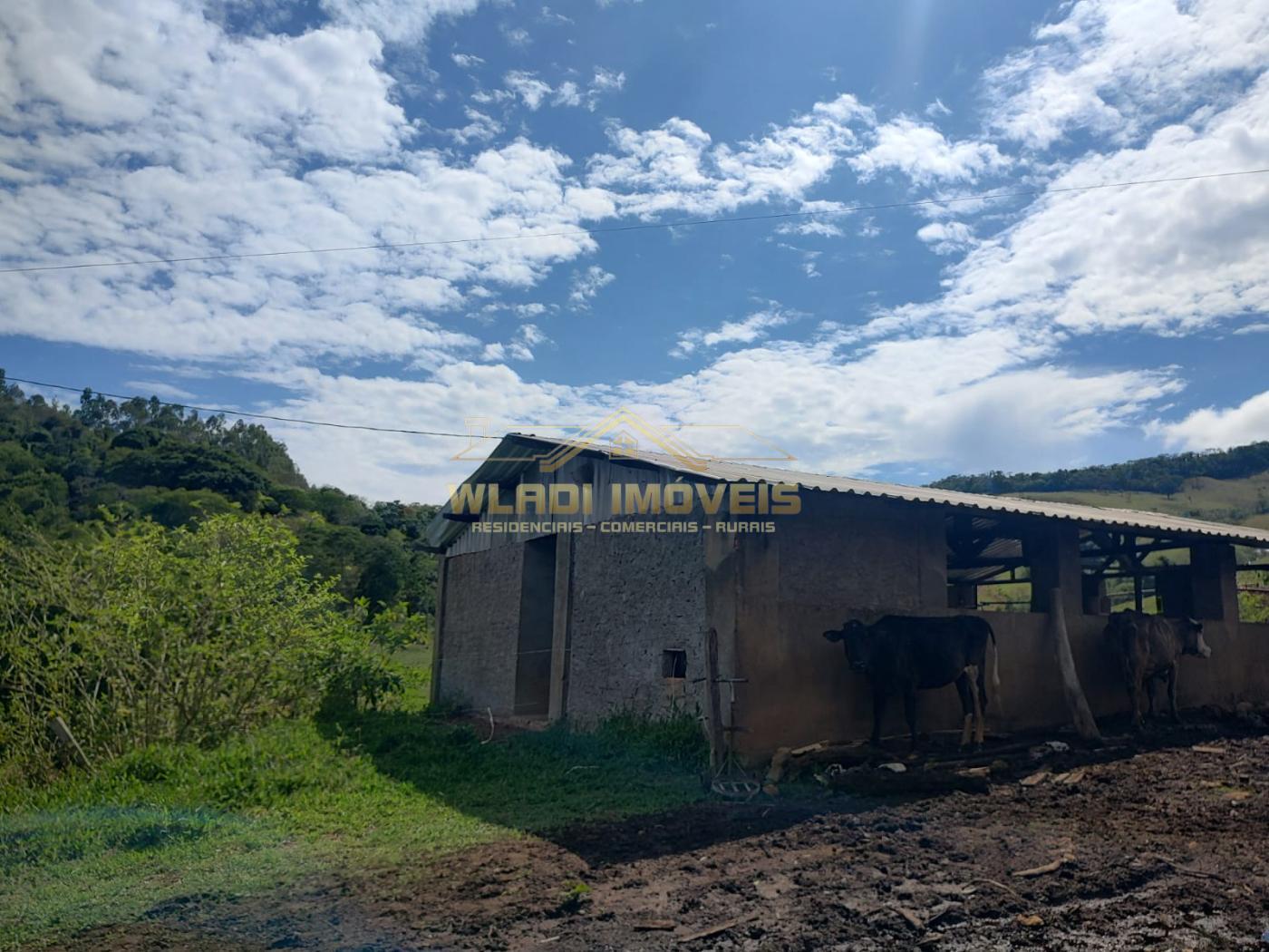 Sítio à venda, 10m² - Foto 16
