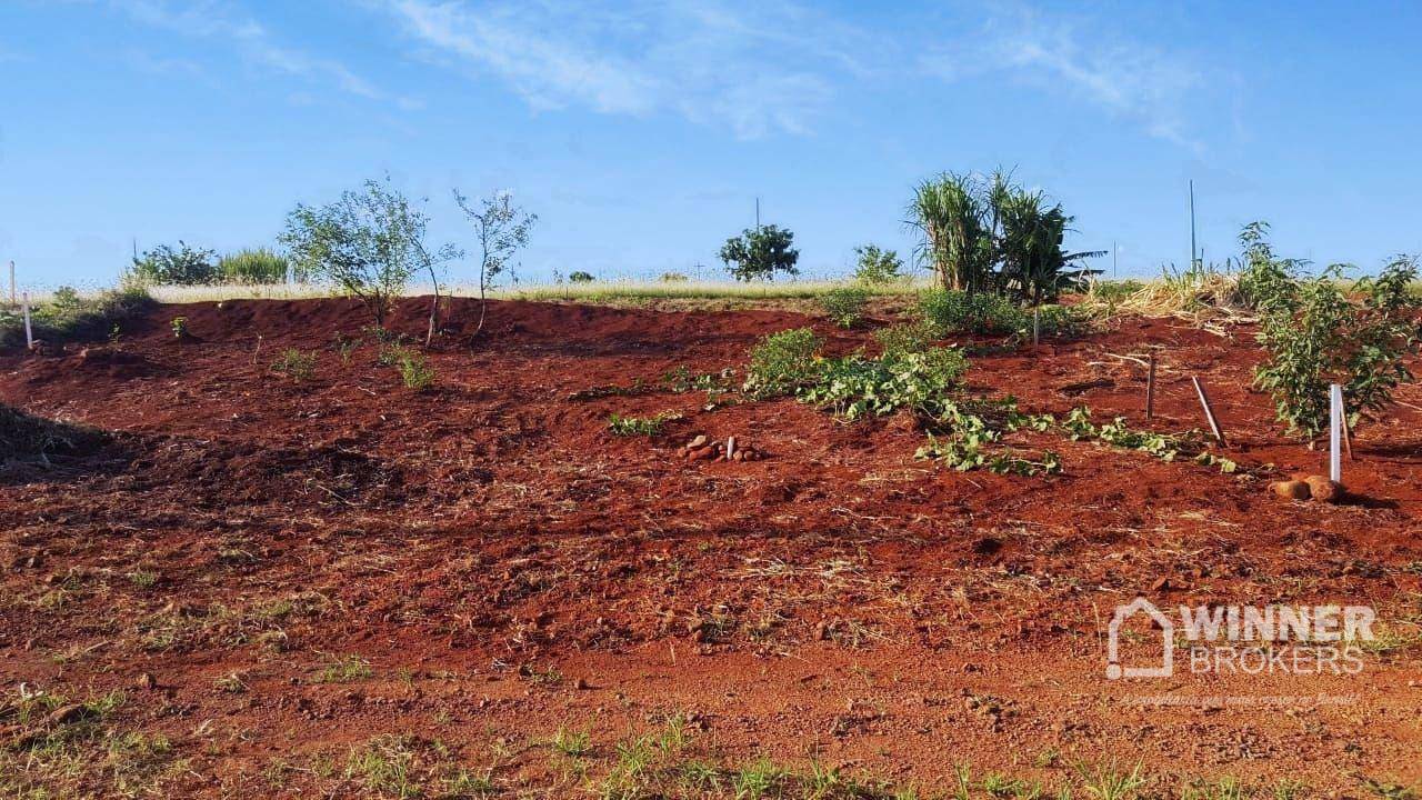 Loteamento e Condomínio à venda, 502M2 - Foto 5