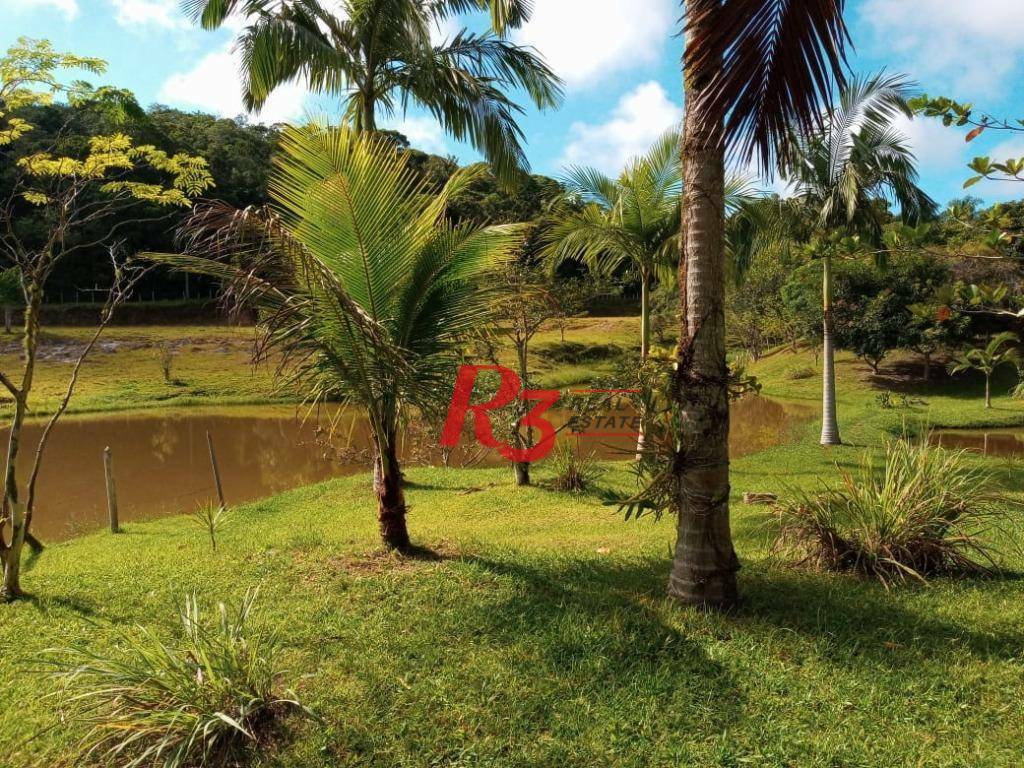 Sítio, 5 quartos, 7 hectares - Foto 32