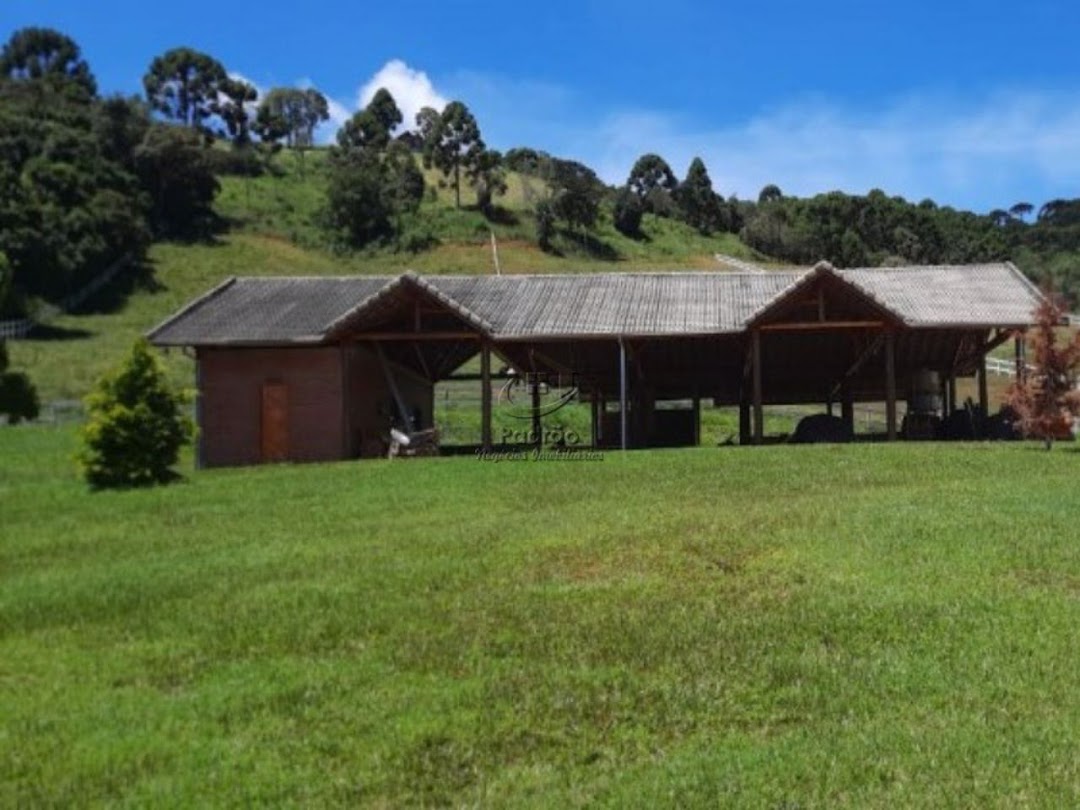 Fazenda à venda com 6 quartos, 1000m² - Foto 10