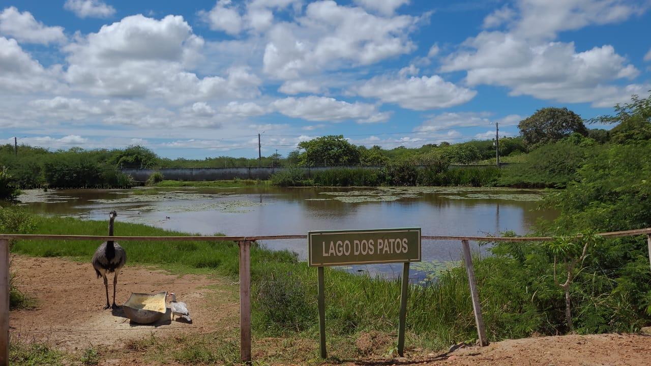 Terreno à venda, 750m² - Foto 12