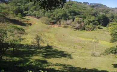 Fazenda à venda com 3 quartos, 40000m² - Foto 23